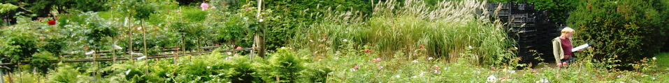 fechner-banner